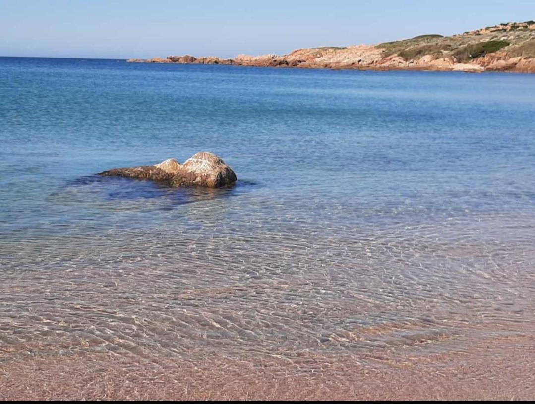 Apartmán Tanca Della Torre Trilocale Vista Mare Isola Rossa Exteriér fotografie